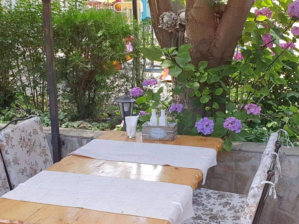 Sea Horse Hotel Burgas